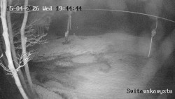 Sjezdovka Svitavská