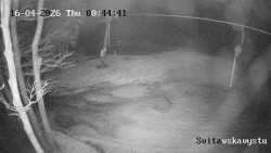 Sjezdovka Svitavská