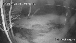 Sjezdovka Svitavská