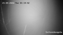 Sjezdovka Svitavská