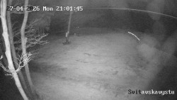 Sjezdovka Svitavská