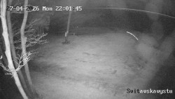 Sjezdovka Svitavská