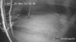 Sjezdovka Svitavská