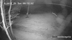 Sjezdovka Svitavská