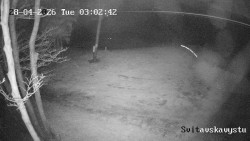 Sjezdovka Svitavská