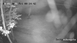 Sjezdovka Svitavská