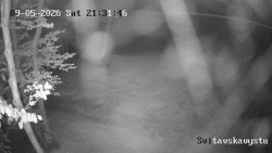 Sjezdovka Svitavská