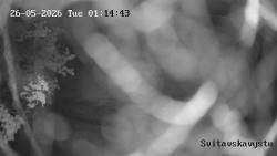 Sjezdovka Svitavská