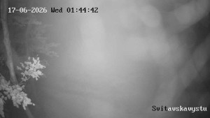 Bergresort Buková Hora - Čenkovice - Skipiste Svitavská - 17.6.2026 v 02:45 Bergresort Buková Hora - Čenkovice - Skipiste Svitavská - 17.6.2026 v 02:45