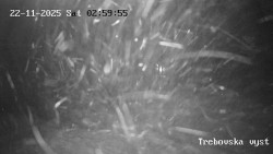 Sjezdovka Třebovská