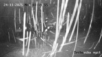 Snímek 24.11.2025 v 03:15