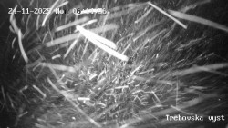 Sjezdovka Třebovská