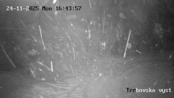 Sjezdovka Třebovská