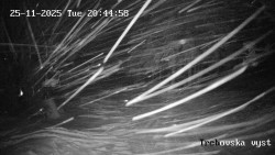 Sjezdovka Třebovská