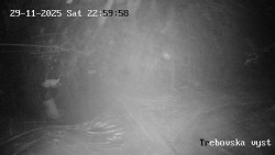 Sjezdovka Třebovská