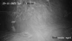 Sjezdovka Třebovská