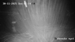 Sjezdovka Třebovská