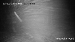 Sjezdovka Třebovská