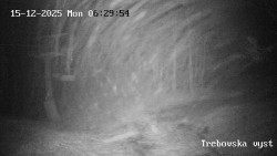 Sjezdovka Třebovská