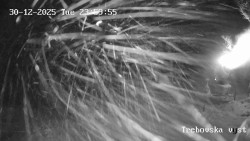 Sjezdovka Třebovská