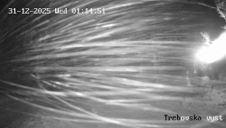 Sjezdovka Třebovská