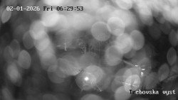 Sjezdovka Třebovská