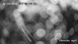 Sjezdovka Třebovská