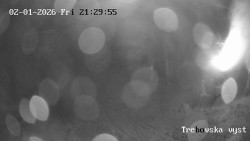 Sjezdovka Třebovská