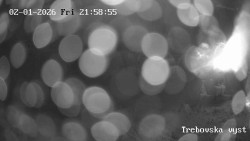 Sjezdovka Třebovská