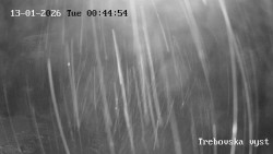 Sjezdovka Třebovská