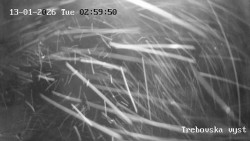 Sjezdovka Třebovská