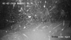 Sjezdovka Třebovská