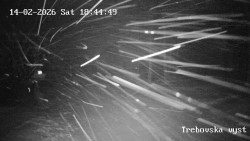 Sjezdovka Třebovská