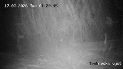 Sjezdovka Třebovská