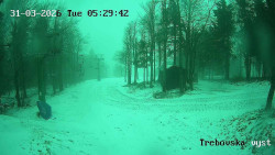 Sjezdovka Třebovská