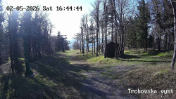 Sjezdovka Třebovská