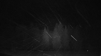 Snímek    29.10.2025 v 02:25