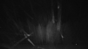 Snímek    29.10.2025 v 03:15