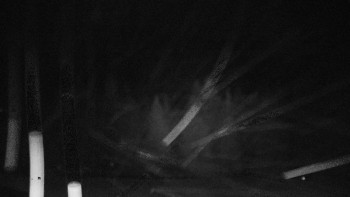 Snímek    29.10.2025 v 03:35