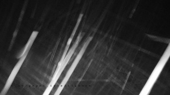 Snímek    3.11.2025 v 01:45