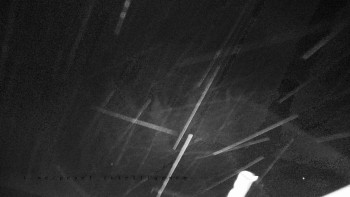 Snímek    3.11.2025 v 01:55