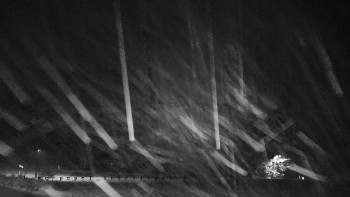 Snímek    3.11.2025 v 04:05