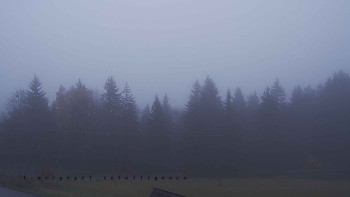 Snímek    3.11.2025 v 07:00