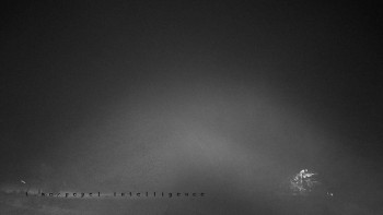 Snímek    3.11.2025 v 19:50