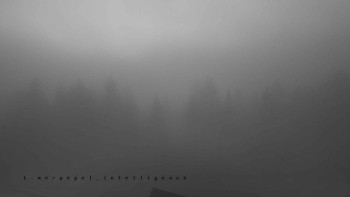 Snímek    4.11.2025 v 06:15