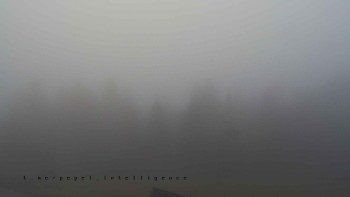 Snímek    4.11.2025 v 07:25