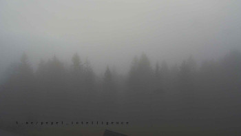 Snímek    4.11.2025 v 08:00