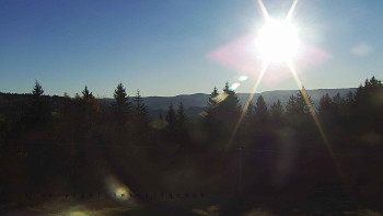 Snímek 6.11.2025 v 07:50