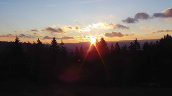 Snímek 7.11.2025 v 06:55