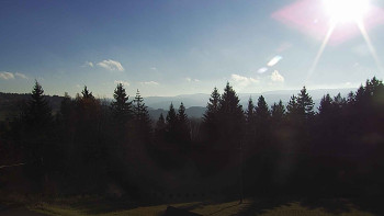 Snímek 7.11.2025 v 08:30